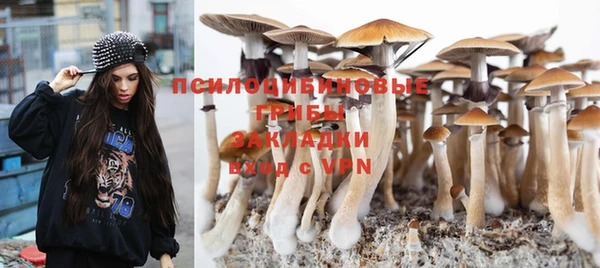 индика Алексеевка